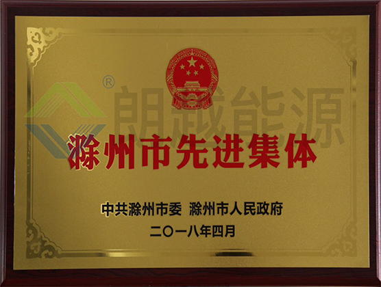 滁州市先进集体