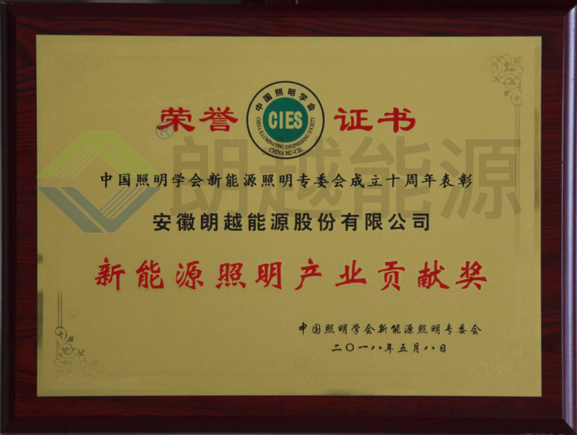 新能源照明产业贡献奖