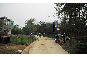 铜陵市西联乡观音村太阳能路灯实景