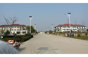 定远县连江镇太阳能路灯项目实景